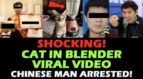 cat in blender video twitter|The ‘Cat In Blender’ Video: A Disturbing Tale Of。